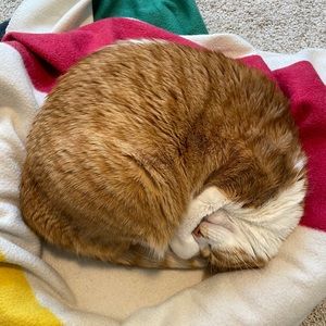 Meet your Posher, Cyrene